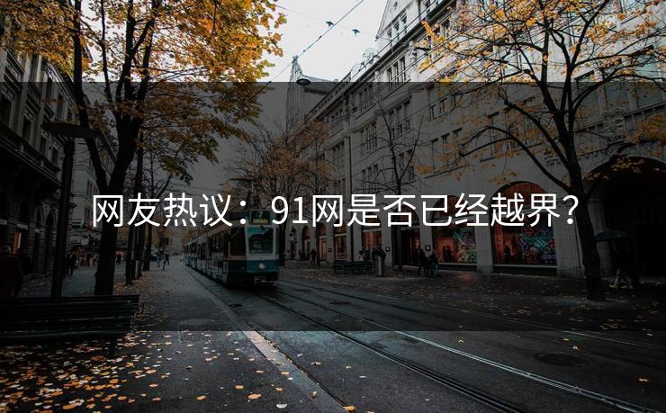 网友热议：91网是否已经越界？