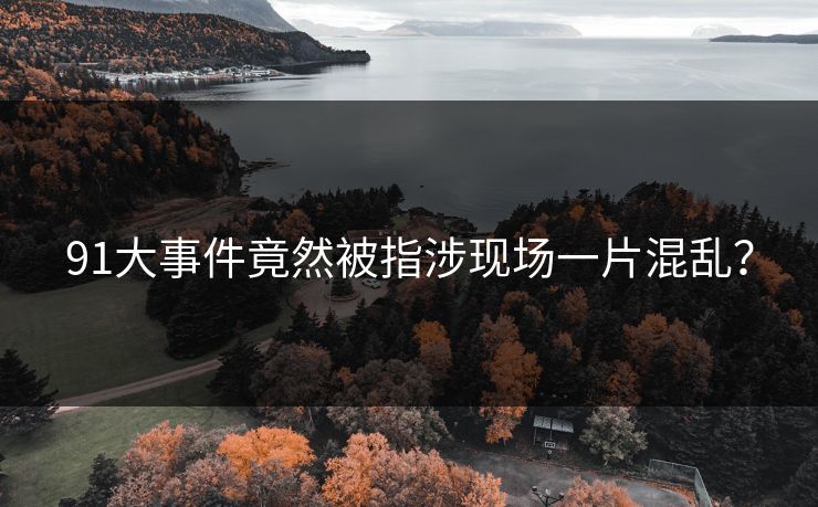 91大事件竟然被指涉现场一片混乱？