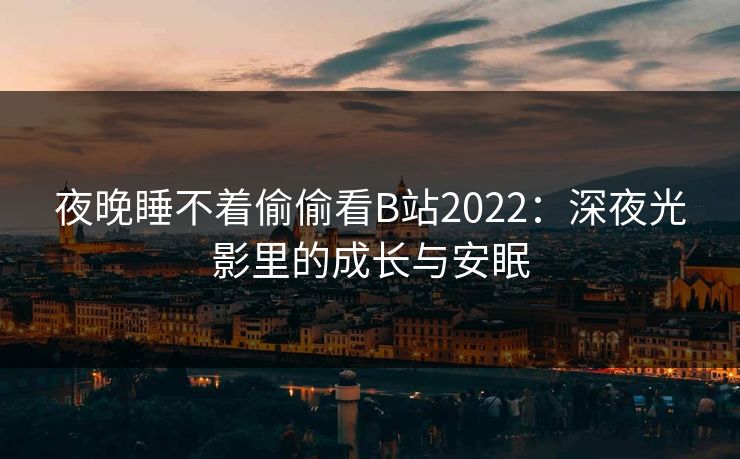 夜晚睡不着偷偷看B站2022：深夜光影里的成长与安眠
