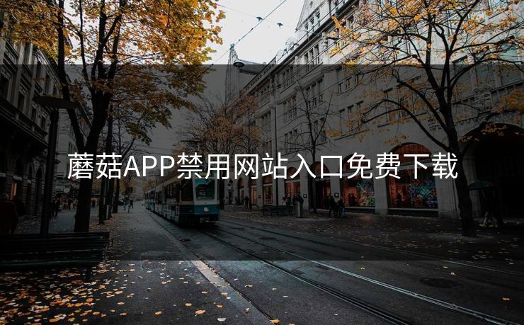 蘑菇APP禁用网站入口免费下载