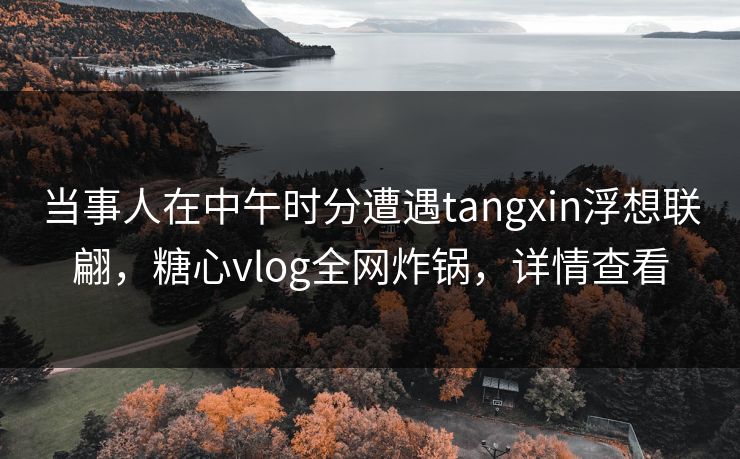 当事人在中午时分遭遇tangxin浮想联翩，糖心vlog全网炸锅，详情查看