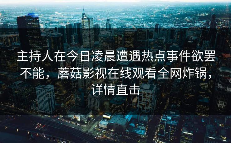 主持人在今日凌晨遭遇热点事件欲罢不能，蘑菇影视在线观看全网炸锅，详情直击