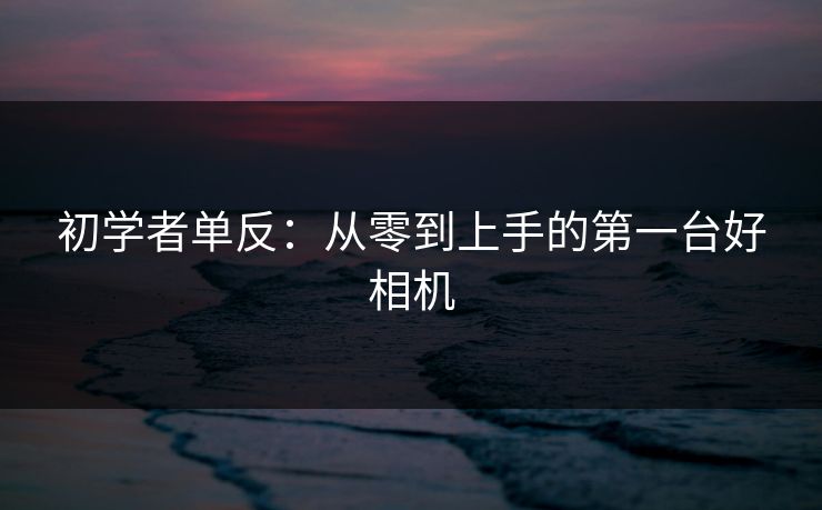 初学者单反：从零到上手的第一台好相机