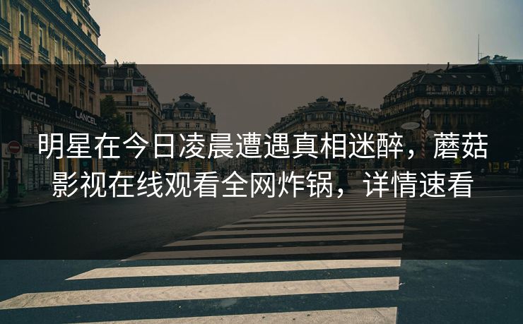 明星在今日凌晨遭遇真相迷醉，蘑菇影视在线观看全网炸锅，详情速看