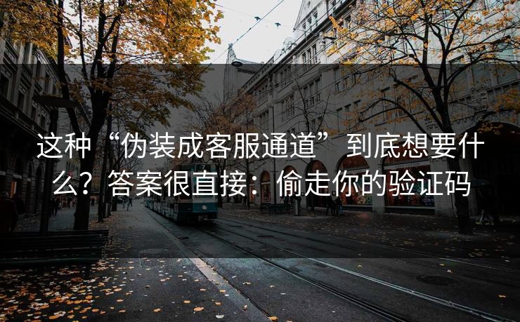 这种“伪装成客服通道”到底想要什么？答案很直接：偷走你的验证码