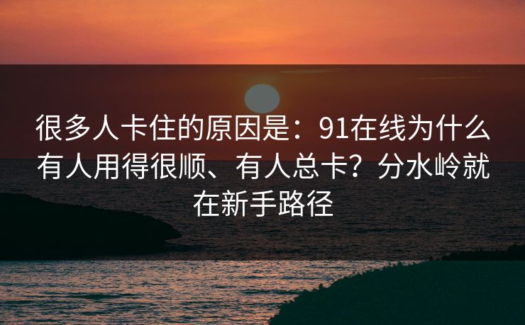 很多人卡住的原因是：91在线为什么有人用得很顺、有人总卡？分水岭就在新手路径