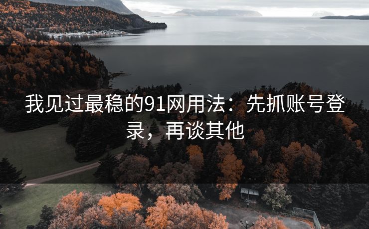 我见过最稳的91网用法：先抓账号登录，再谈其他