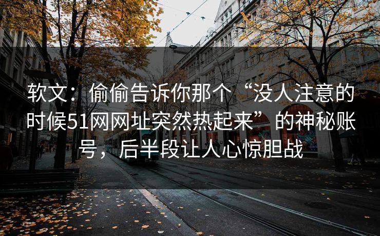 软文:偷偷告诉你那个“没人注意的时候51网网址突然热起来”的神秘账号,后半段让人心惊胆战